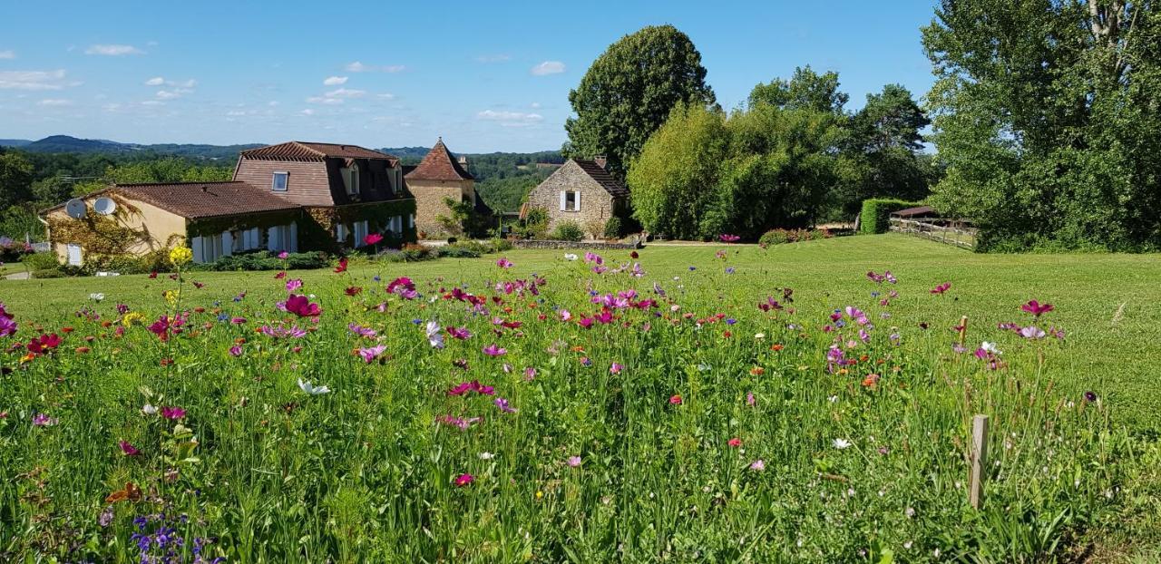 Le Clos-Lascazes Maison D'Hotes Le Buisson-de-Cadouin エクステリア 写真