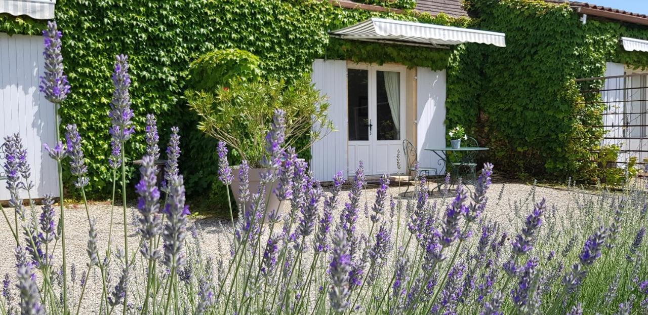Le Clos-Lascazes Maison D'Hotes Le Buisson-de-Cadouin エクステリア 写真