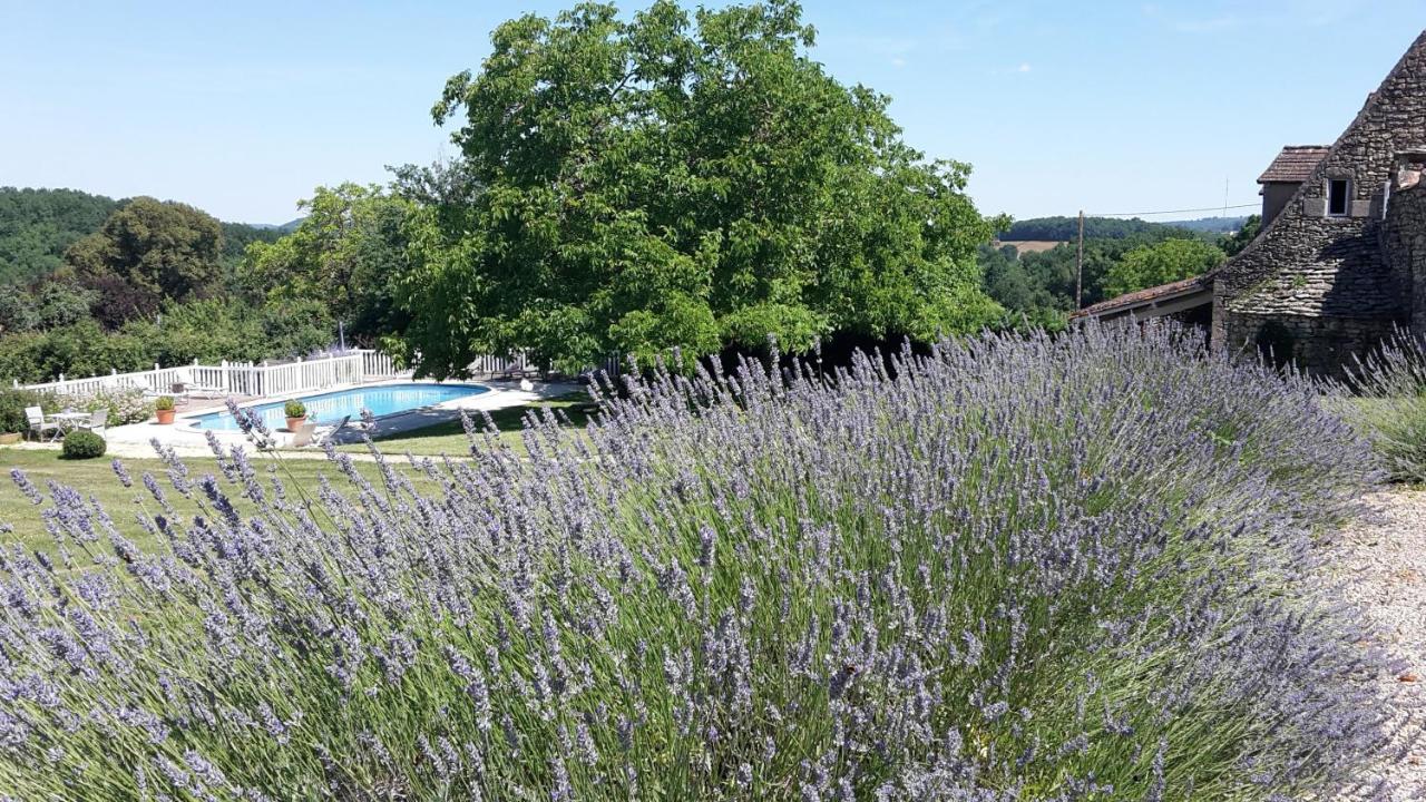 Le Clos-Lascazes Maison D'Hotes Le Buisson-de-Cadouin エクステリア 写真