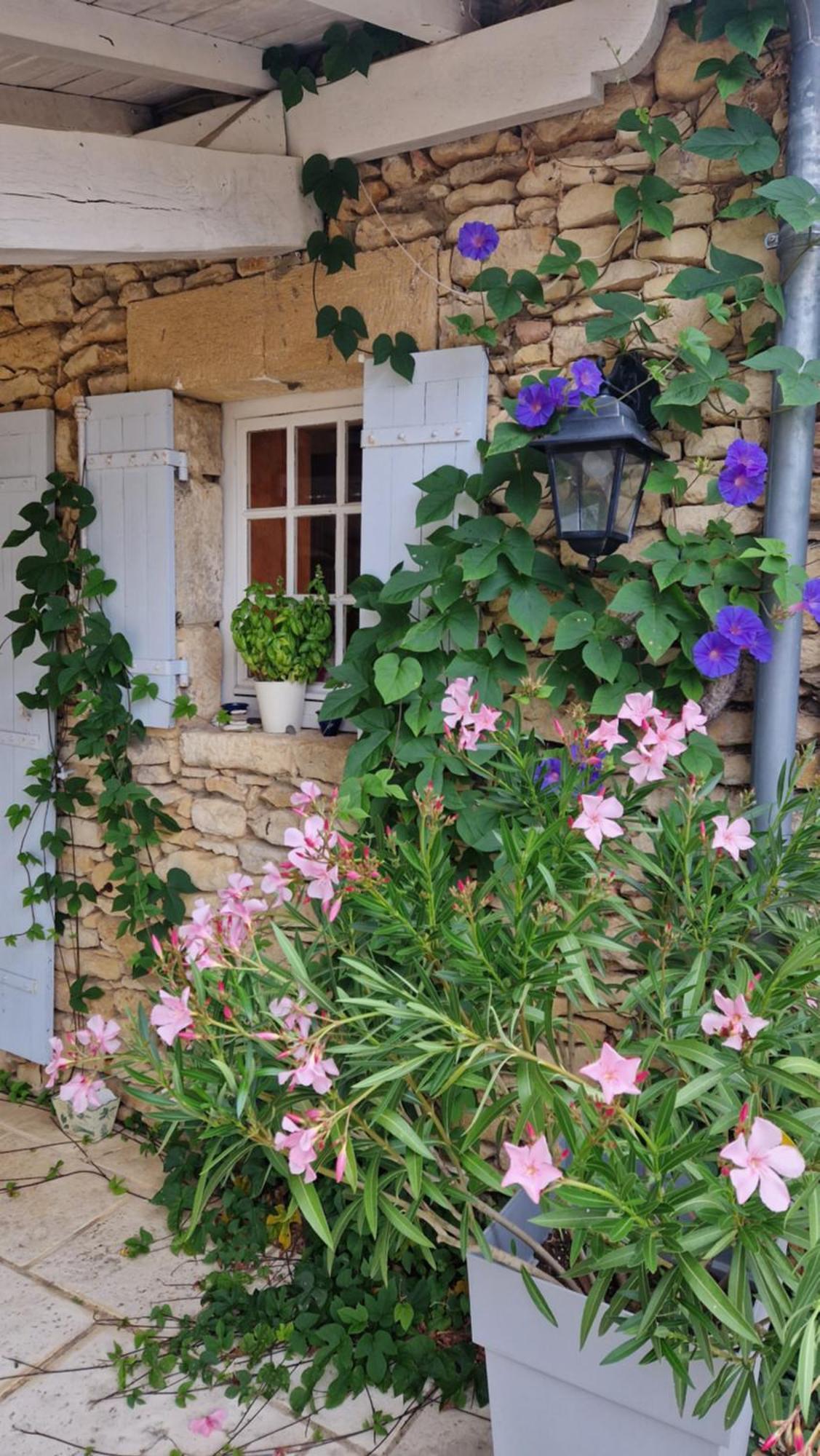 Le Clos-Lascazes Maison D'Hotes Le Buisson-de-Cadouin エクステリア 写真